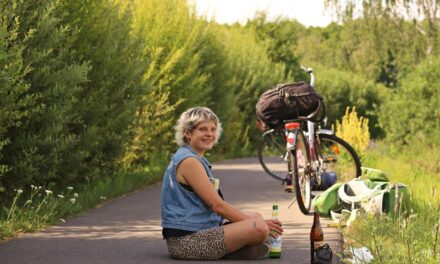2023 Best WordPress Themes for Bike Shops