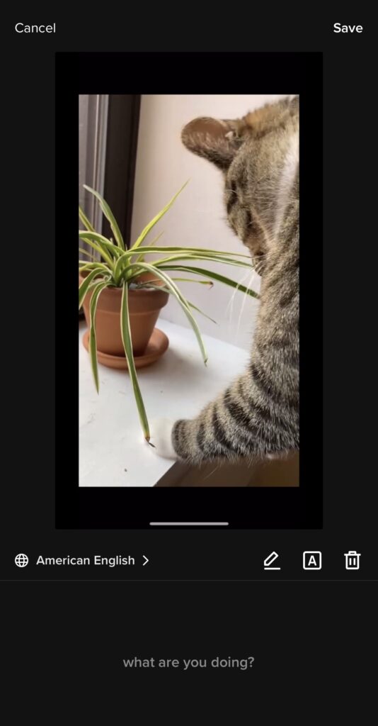 The TikTok captions editor allowing editing and adjustments for uploaded video captions.
