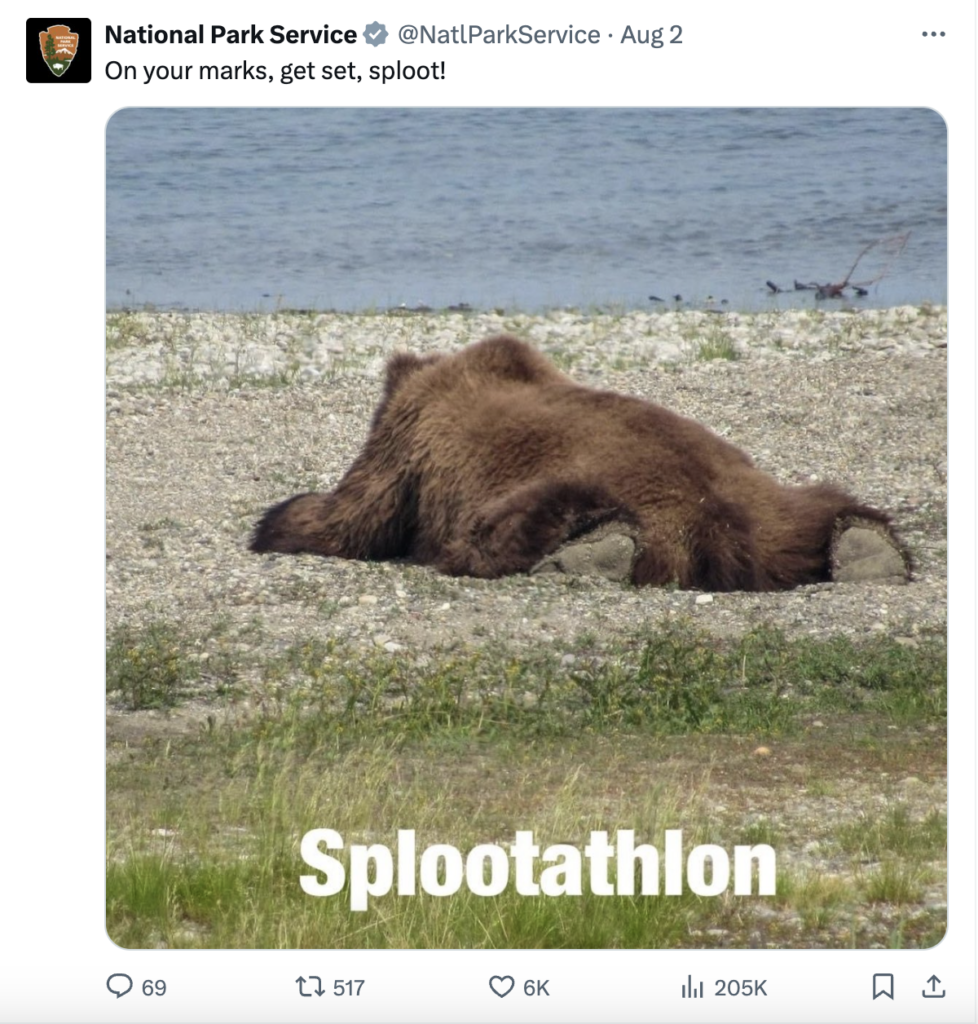 A brown bear sprawled awkwardly on a pebbly beach, with calm water and sparse grass in the background. Text on the image reads: Splootathlon.