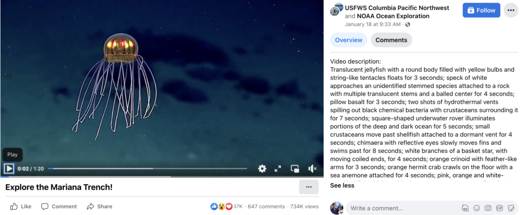 A video of a deep sea jellyfish in the Mariana trench from the US Fish and Wildlife Service where they've included a long and informative video description describing the video.