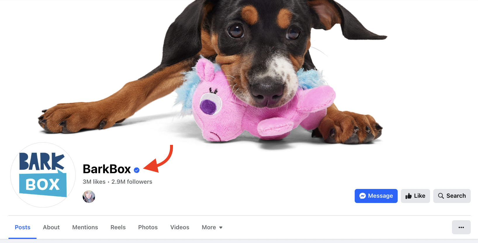 Barkbox Facebook Page featuring a brown and black dog with a pink soft toy in its mouth, highlighted with a red arrow pointing to the blue check mark beside the page name
