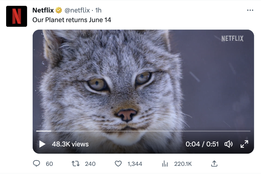 An X post from Netflix advertising the launch of their wildlife series, Our Planet. 