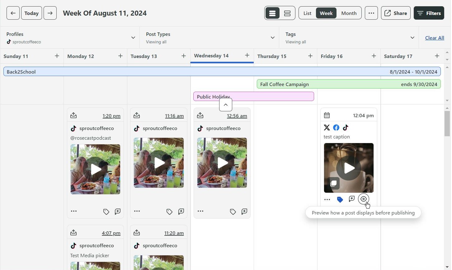 Preview a TikTok post on Sprout Social platform