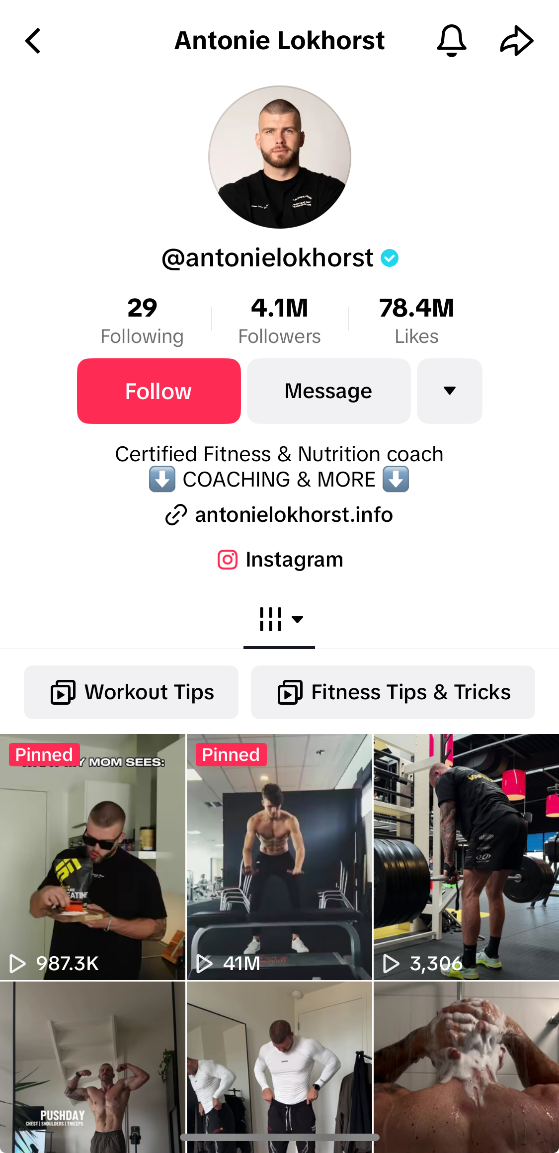 Antonie Lokhorst's TikTok profile.