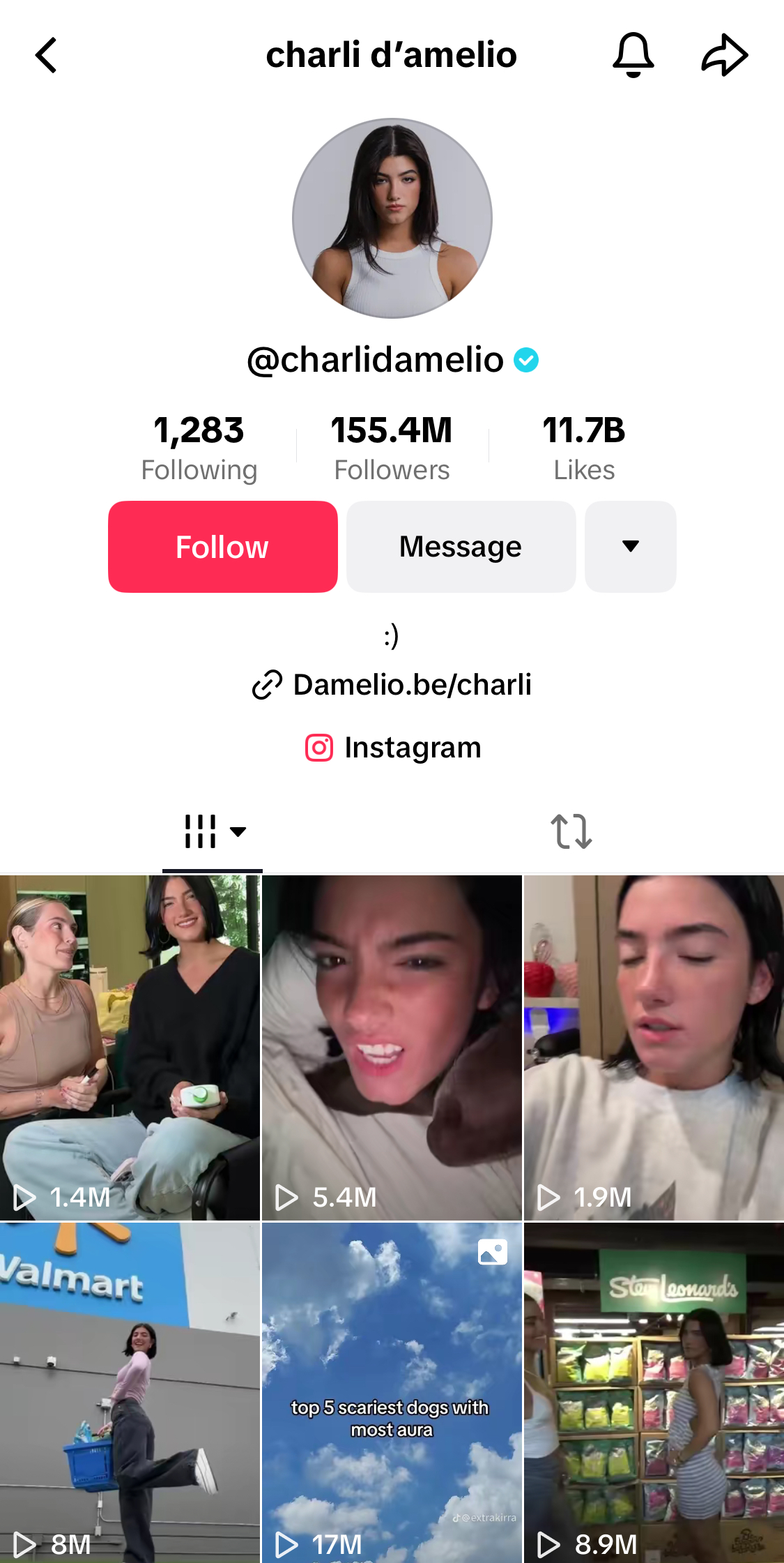 Charli D'Amelio's TikTok profile.