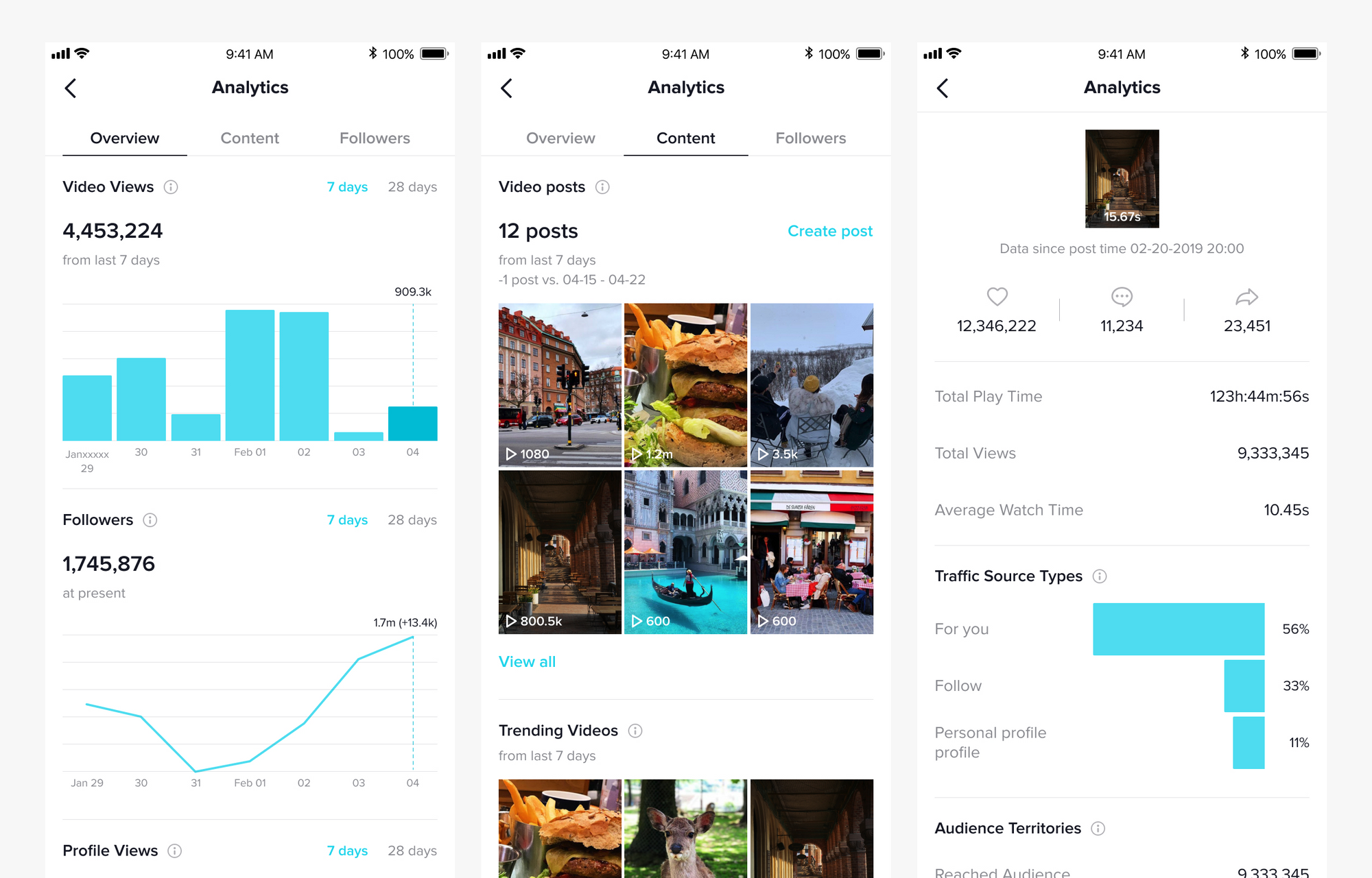 native TikTok analytics dashboard showing performance overview, trending content and video-specific metrics