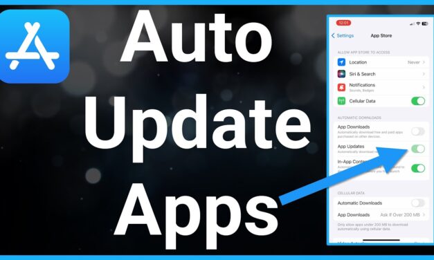 Steps to Take When Your WordPress Auto-Update Fails