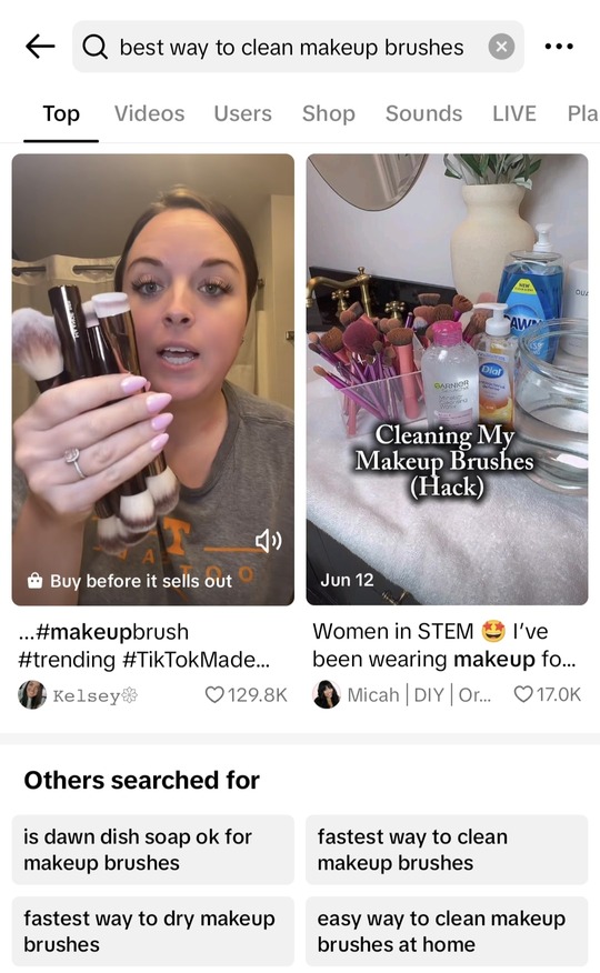 tiktok search example