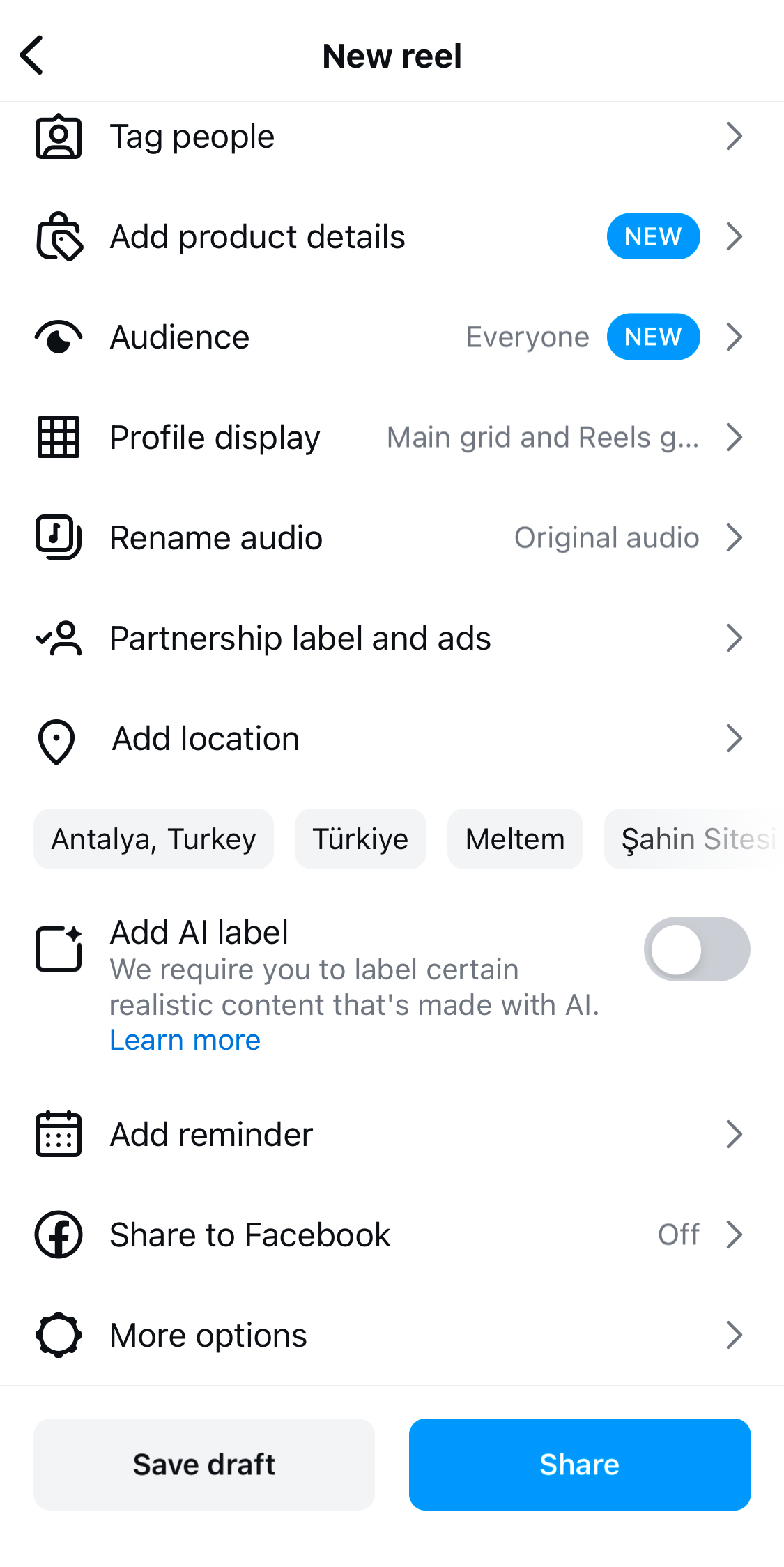 Instagram Reels app publishing settings