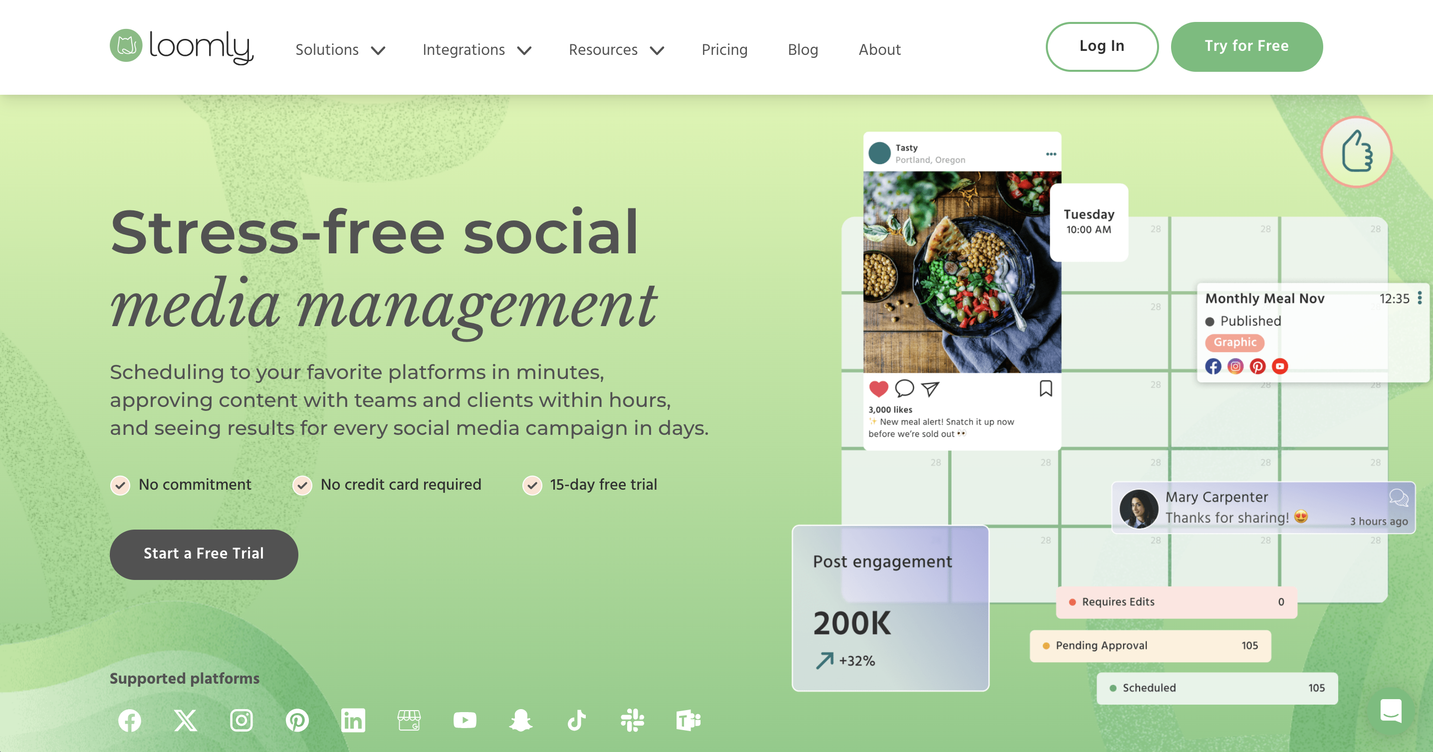 A screenshot of TikTok analytics tool Loomly's website