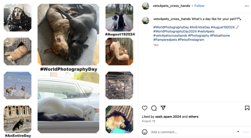 An Instagram post from Vets4Pets Cross Hands where they asked followers to share photographs of their pets on the theme of