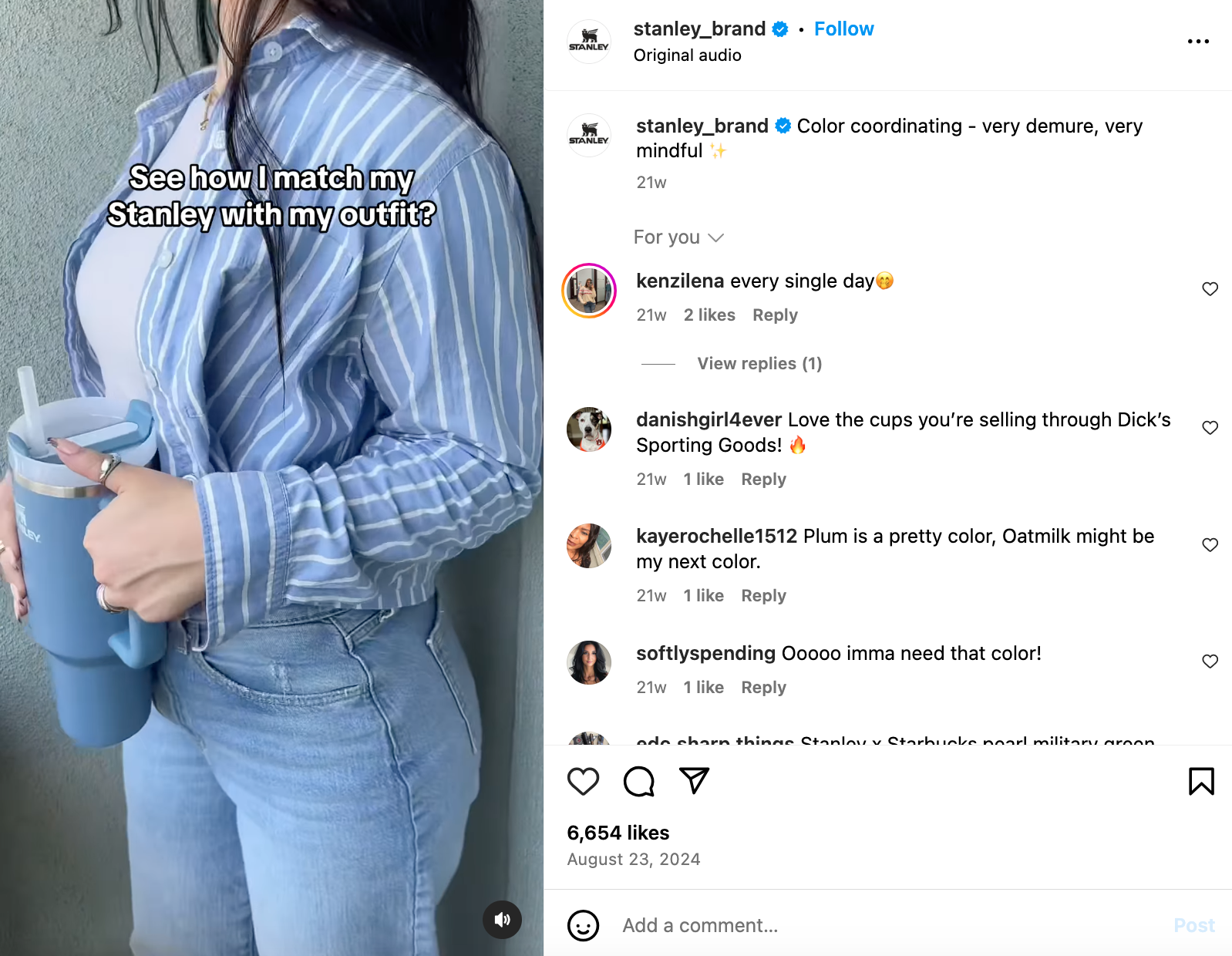 An example of Stanley's Instagram Reel