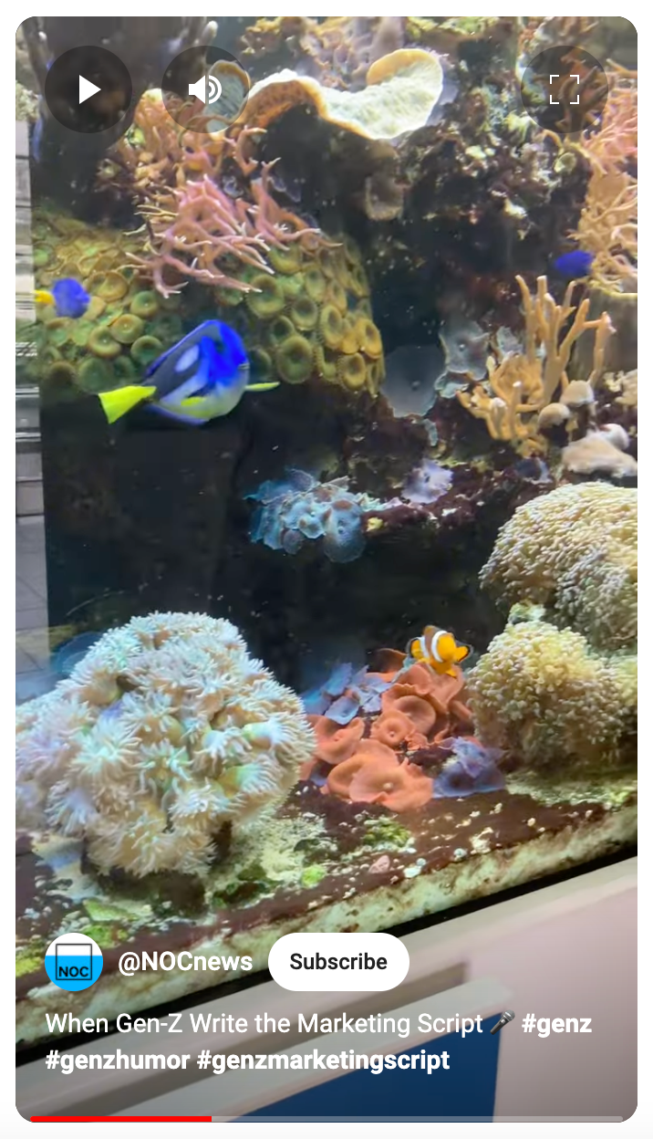 YouTube Short from the National Oceanography Centre.