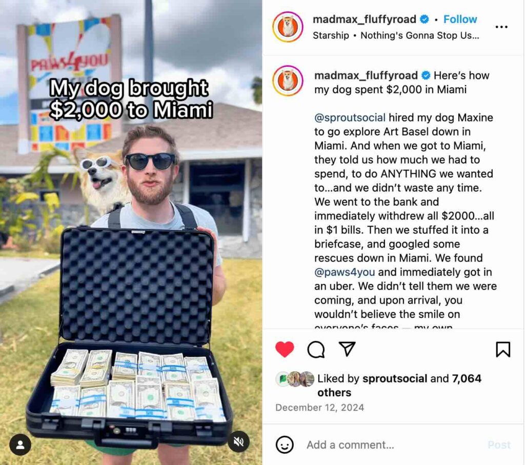 An Instagram Reel from Maxine the Fluffy Corgi and her owner in Miami during Art Basel donating $2,000 to a local animal shelter on behalf of Sprout Social
