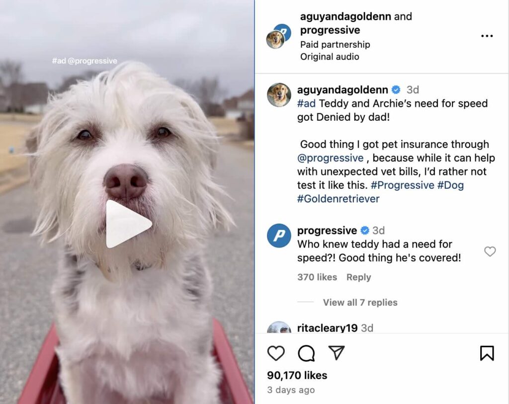An Instagram Reel that is a collaborative post from A Guy And A Golden—the dog influencer—and Progressive